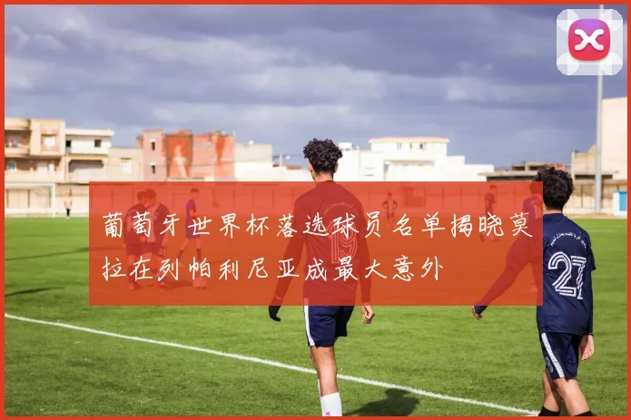 葡萄牙世界杯落选球员名单揭晓莫拉在列帕利尼亚成最大意外